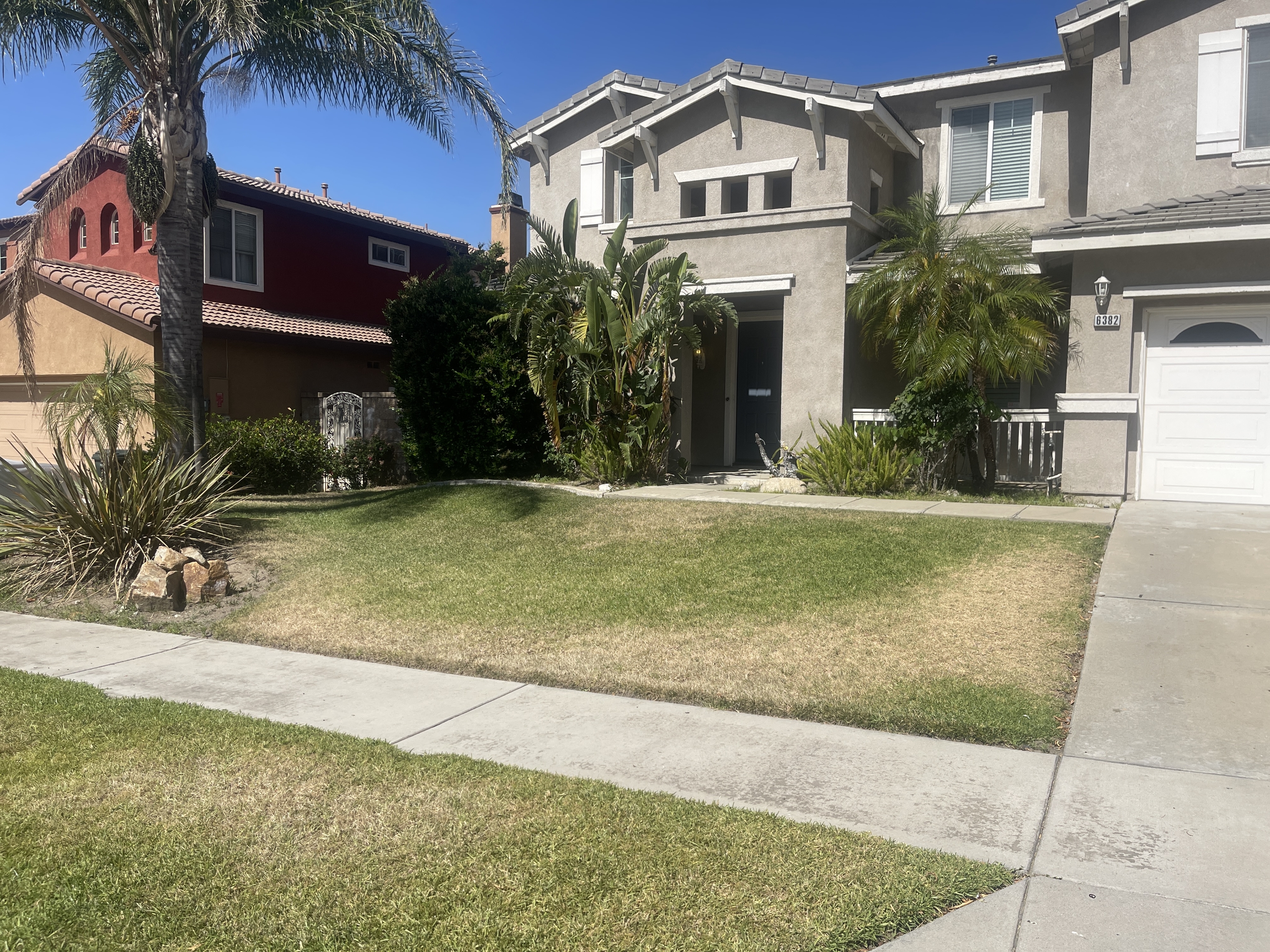 6382 Puma Place